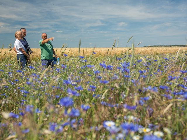 © K. Karkow. Drei Personen stehen linksseitig im Bild in einem Feld. Ein Mann zeigt nach rechts den anderen Personen etwas. im Hintergrund Getreide im Vordergrund blaue Blüten